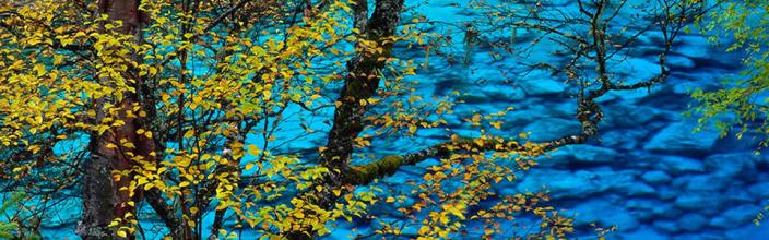 仿盛大传奇2.0正式版