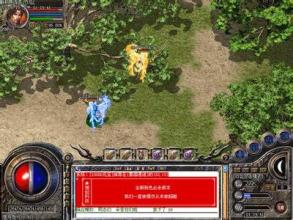 �¿������